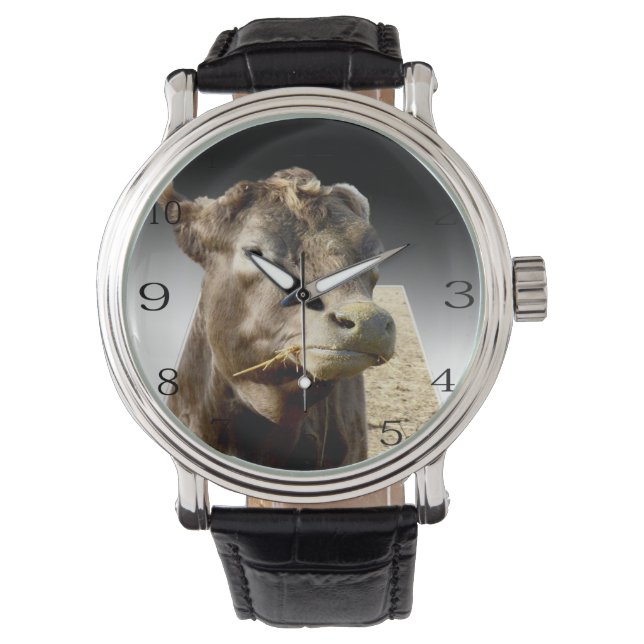 Relógio Hay Day: Momento de colheita de uma vaca marrom em (Frente)