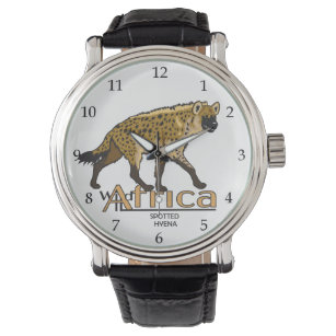 Relógio Hiena avistada. África selvagem