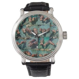 Relógio Hippos no Play: Um Paraíso Pond