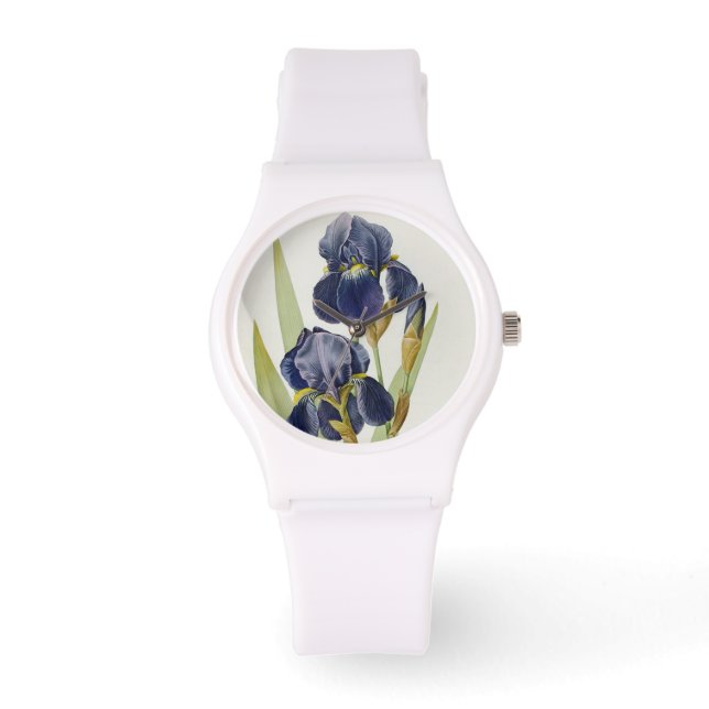 Relógio Iris Germanica, de Les Liliacees, 1805 (Frente)