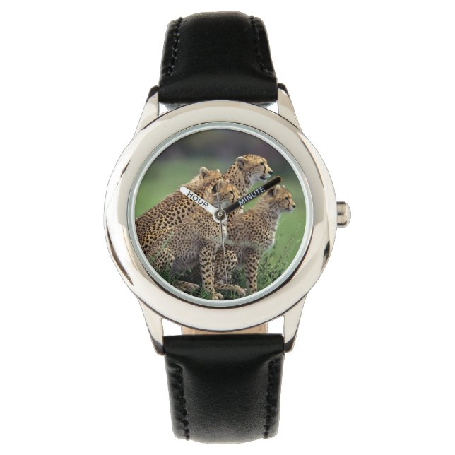 Relógio Kids Classic Watch/Wildlife Cheetah (Frente)