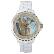 Koala Watch- Muitos Estilos para Escolher de