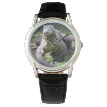 Komodo Dragon Watch - Muitos estilos a serem escol