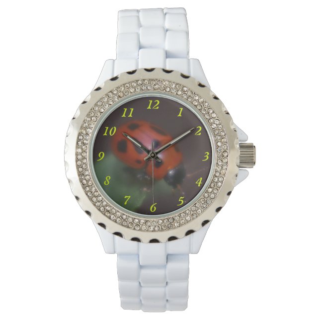 Relógio Ladybug em Flores (Frente)