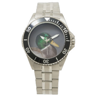 Relógio Mallard Duck Drake Stainless Steel Men's Watch
