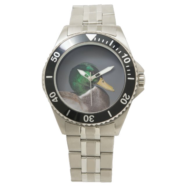 Relógio Mallard Duck Drake Stainless Steel Men's Watch (Frente)