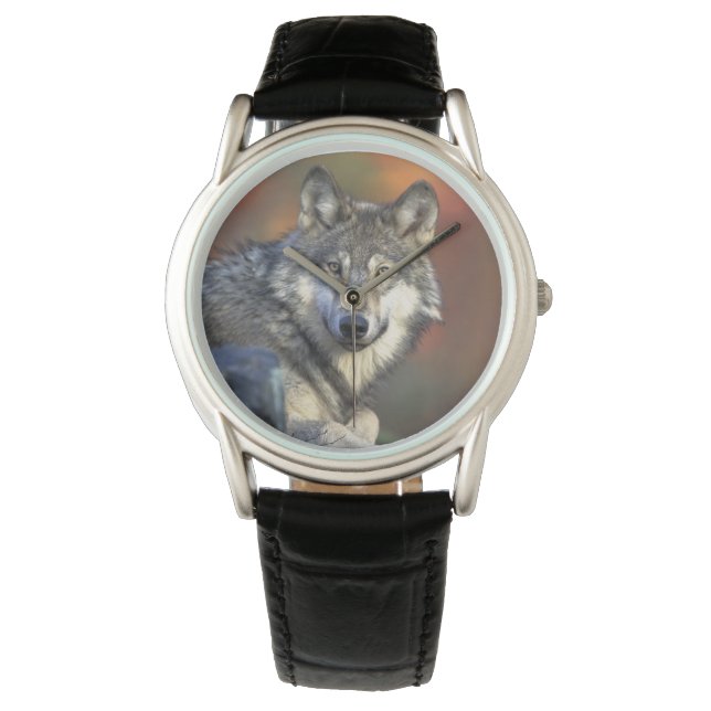 Relógio Mens Classic Watch/Wildlife Wolf (Frente)
