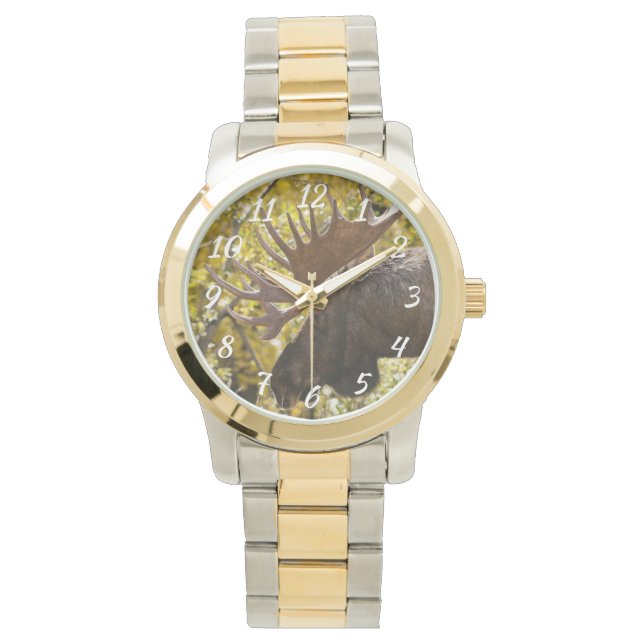 Relógio Noble Bull Moose (Frente)