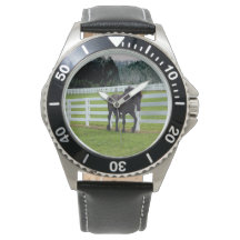 Nonesuch at Cedar Point 