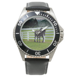 Relógio Nonesuch at Cedar Point