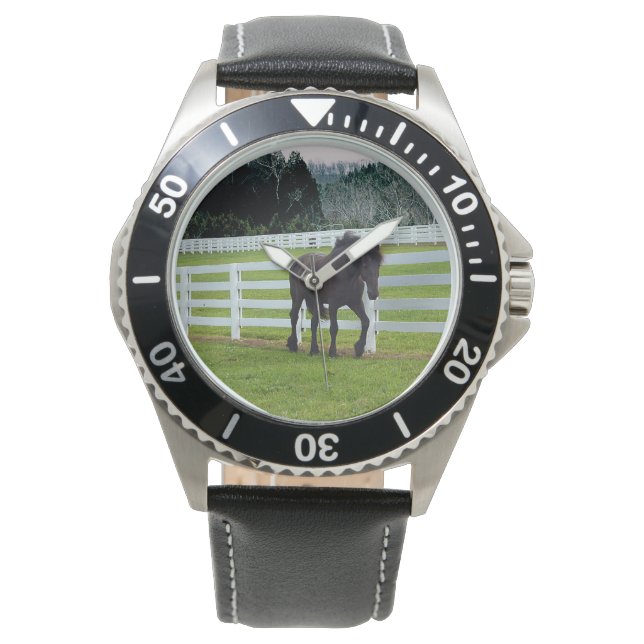 Relógio Nonesuch at Cedar Point  (Frente)