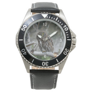 Relógio Norte Pygmy Owl