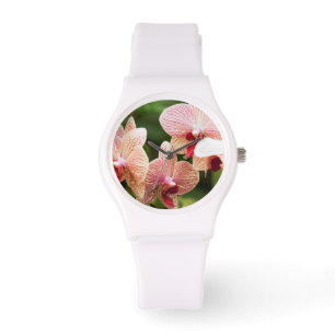 Relógio Orange Orchid Hybrid, África do Sul