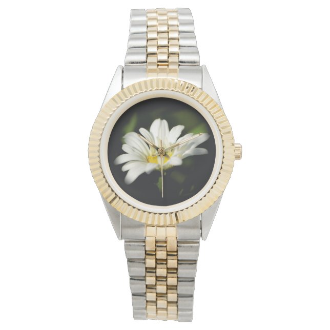Relógio Oxeye Daisy Round Watch (Frente)