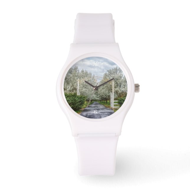 Relógio Página inicial da unidade de primavera (Frente)