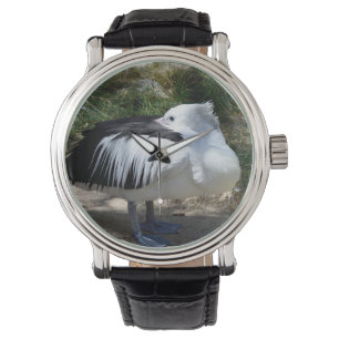 Relógio Pelican Cat Napping,