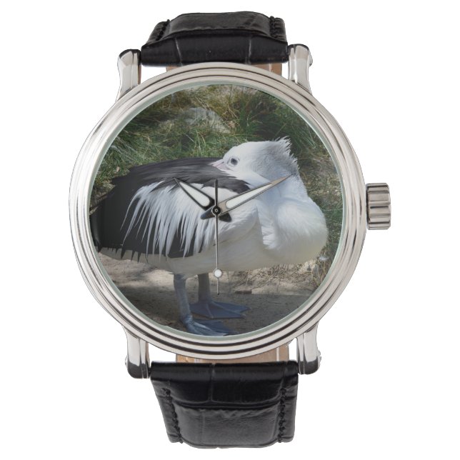 Relógio Pelican Cat Napping, (Frente)