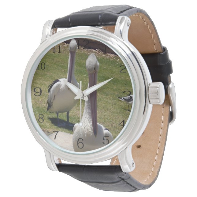 Relógio Penas Desabrochadas: Pelicanos Com Atitude, (Angular)