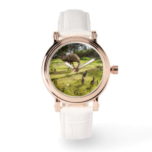 Relógio Penas e Pistas: Um Pai Emu Com Pintinhos