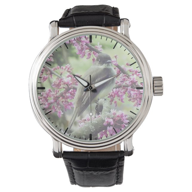 Relógio Phoebe em uma árvore Redbud (Frente)