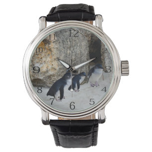 Relógio Pinguins Em Sua Casa De Praia,