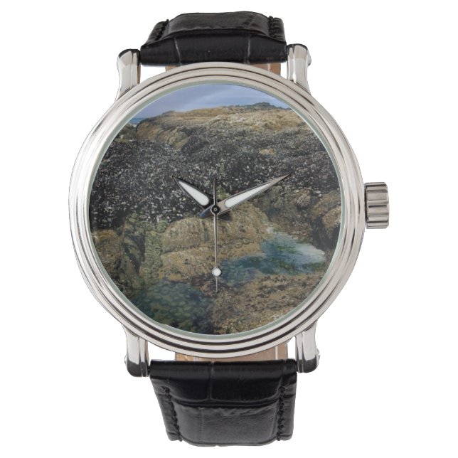 Relógio Piscinas laterais em Bob Creek, OU (Frente)