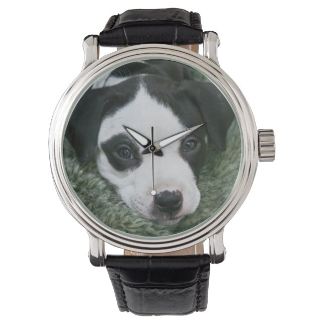 Relógio Pit Bull Puppy (Angie) (Frente)