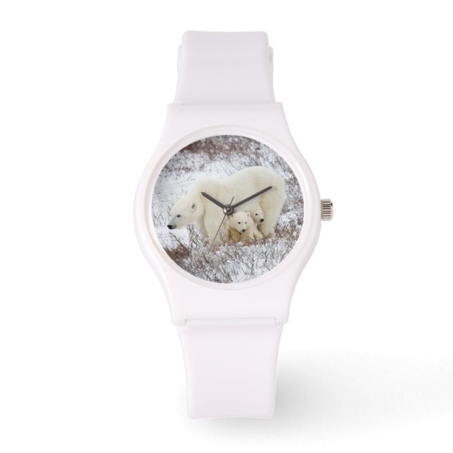 Relógio Polar Bears fêmea e dois filhotes (Frente)