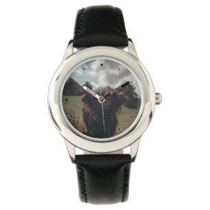 Relógio Prados negros e pastagens de vaca escocesa