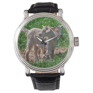 Relógio Pygmy Goat Kids Watch