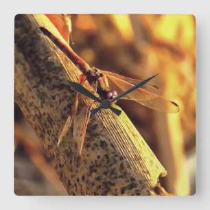 Relógio Quadrado 534424932Elegante Red Darter Dragonfly Insett Art