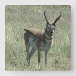 Relógio Quadrado A13 Pronghorn Antelope Buck