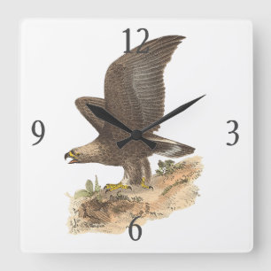 Relógio Quadrado A Águia Ouro (Aquila chrysaetos) NY Imagem do Páss
