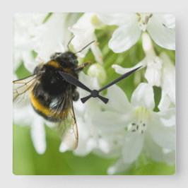 Relógio Quadrado Abelha em flor branca