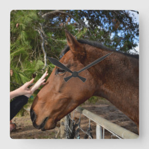 Relógio Quadrado Adorando Um Cavalo Marrom,