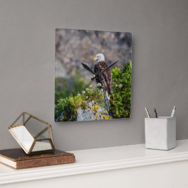 Relógio Quadrado Águia caída sentada na rocha