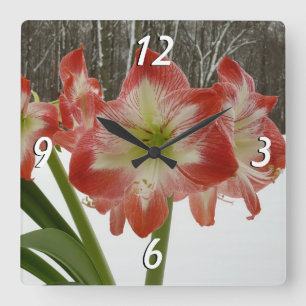 Relógio Quadrado Amaryllis no Feriado Vermelho de Neve Floral de in