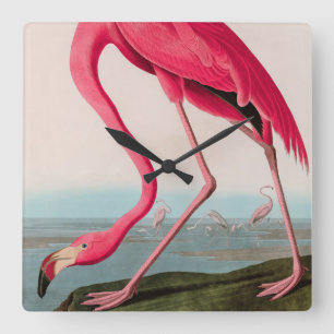 Relógio Quadrado American Flamingo Birds of America Audubon Print