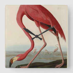 Relógio Quadrado American Flamingo, das Aves da América de Audubon