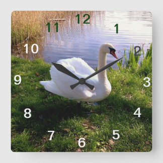 Relógio Quadrado Animais