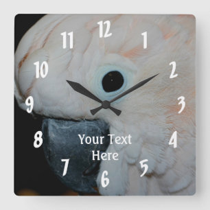 Relógio Quadrado Animais de papagaio Moluco Rosa