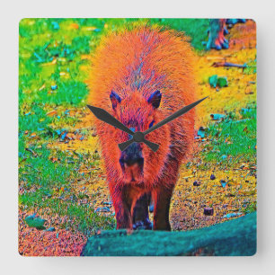 Relógio Quadrado AnimalColor_Capybara_011