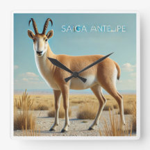 Antílope Saiga no deserto