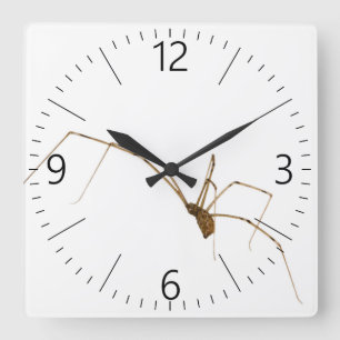 Relógio Quadrado Aranha