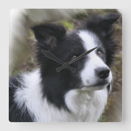 Relógio Quadrado Arte de border collie