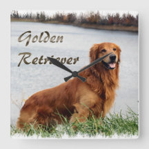 Arte do ouro Retriever