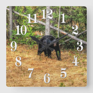 Relógio Quadrado Arte Fotográfica do Urso Negro Selvagem e Floresta