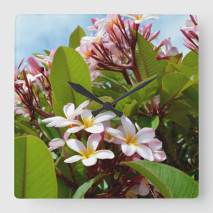 Relógio Quadrado Árvore de Flor Rosa, Frangipani,