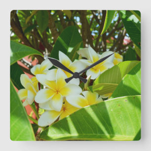 Relógio Quadrado Árvore de Frangipani Amarela,