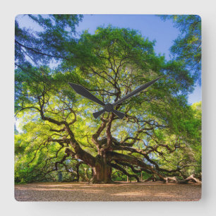 Relógio Quadrado Árvore Elegante Angel Oak